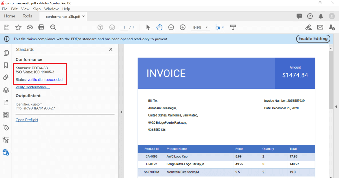 Create PDF/A -3B conformance document