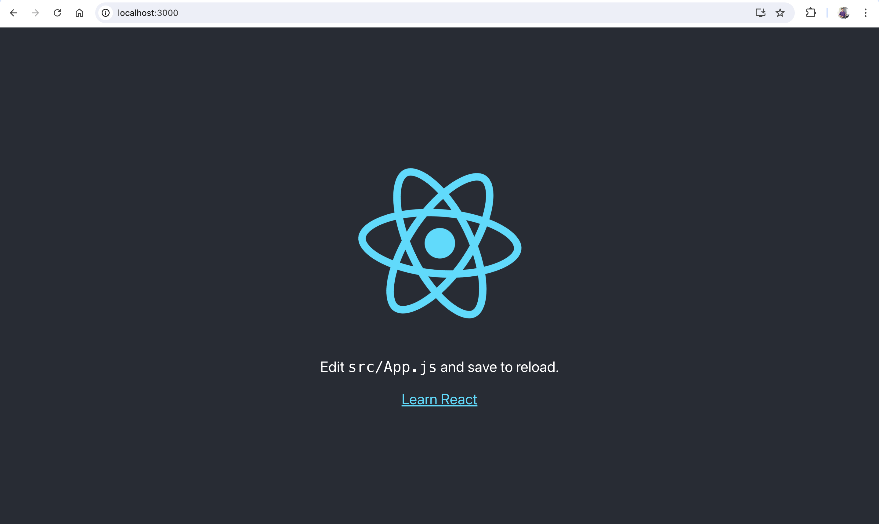 Launch the boilerplate React app