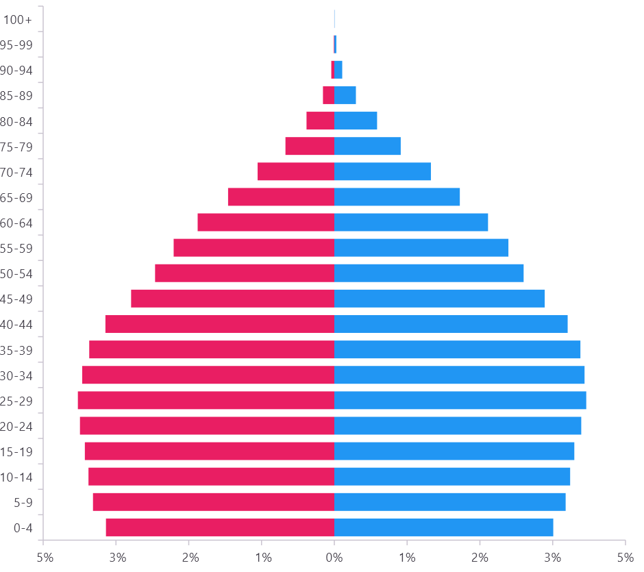 Customizing axis Label (Removing negative symbol) in Flutter Tornado Chart