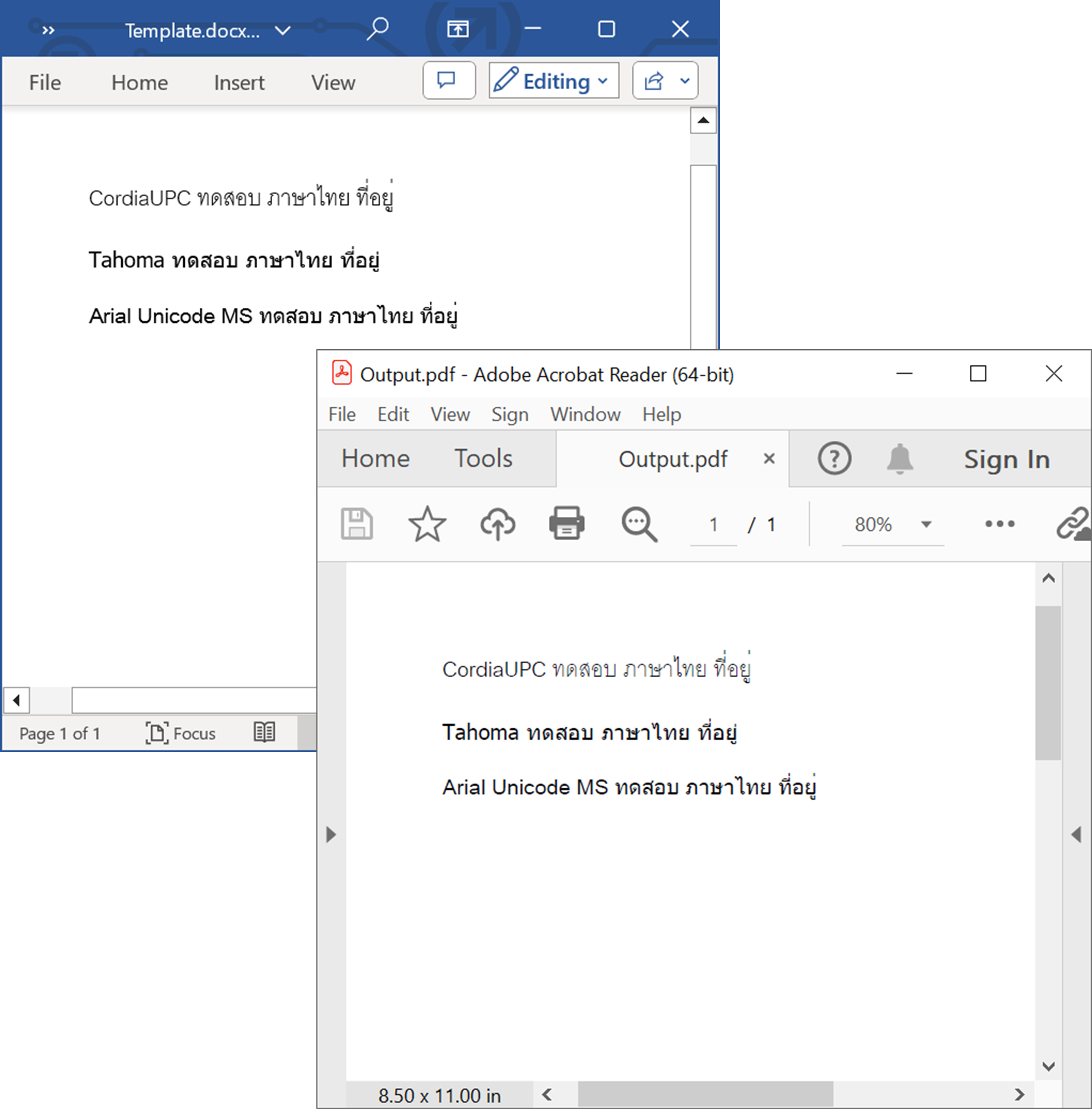 Preserving complex script text in Word to PDF conversion